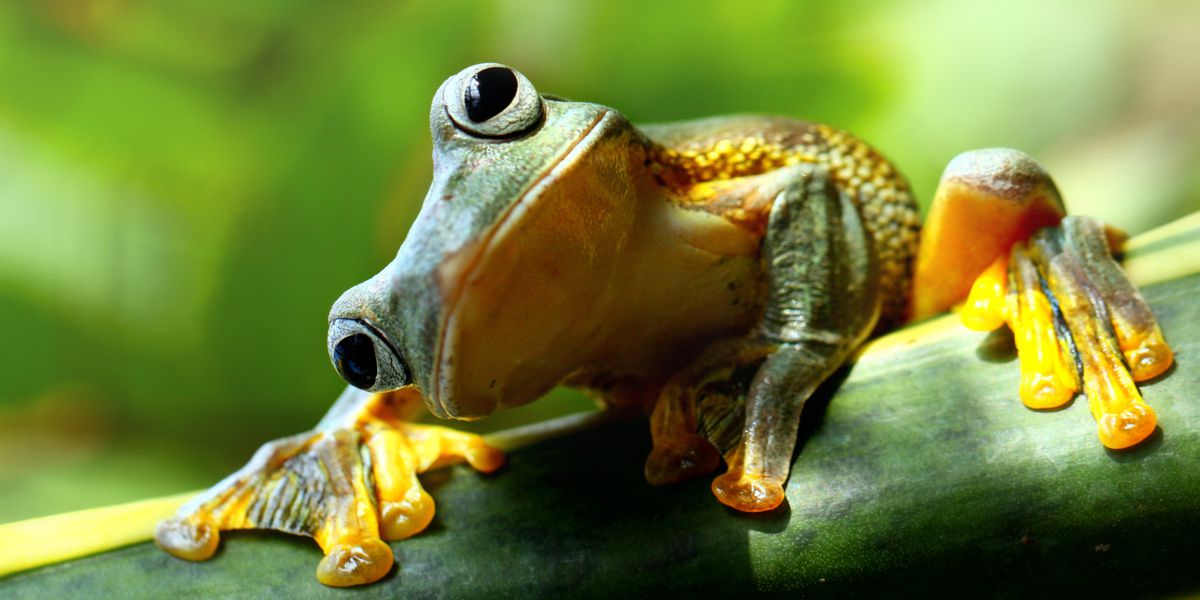 The Kronos Guy Blog